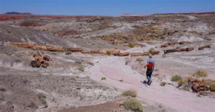 NEWS Archives - Celebrity Profiles